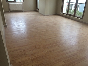 Güzelyalı Ev Tadilatı Firması